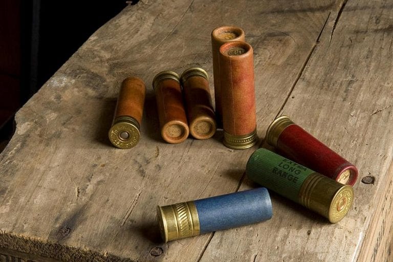 what-are-the-best-type-of-shotgun-shells-to-use-for-goose-hunting