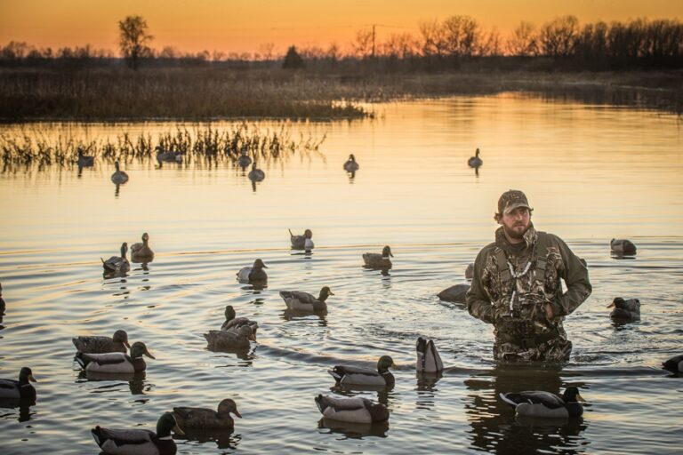 How To Duck Hunt Without A Dog: 3 Simple Methods | DecoyPro