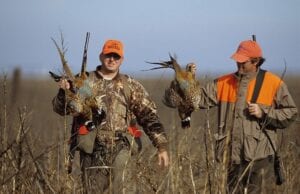 25 Tips For Pheasant Hunting Without A Dog | DecoyPro