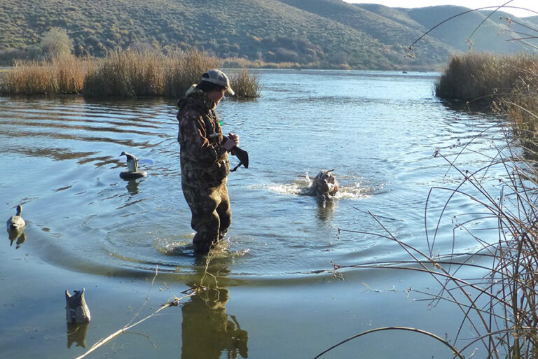 can-i-shoot-ducks-on-the-water-decoypro