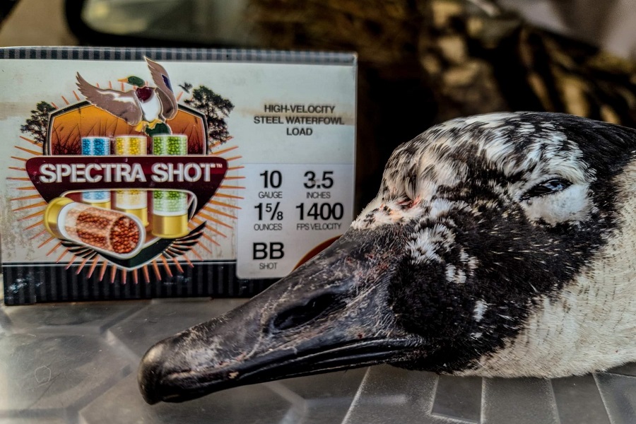 Shot Size Chart for Hunting Waterfowl and Game