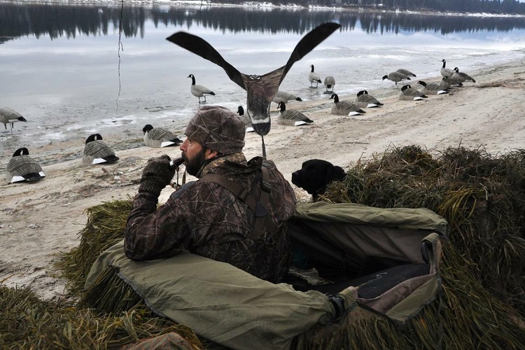 can-you-shoot-geese-on-the-water-decoypro